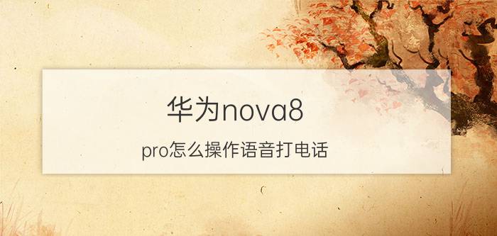 华为nova8 pro怎么操作语音打电话 华为nova手机怎么设置语音助手说话？